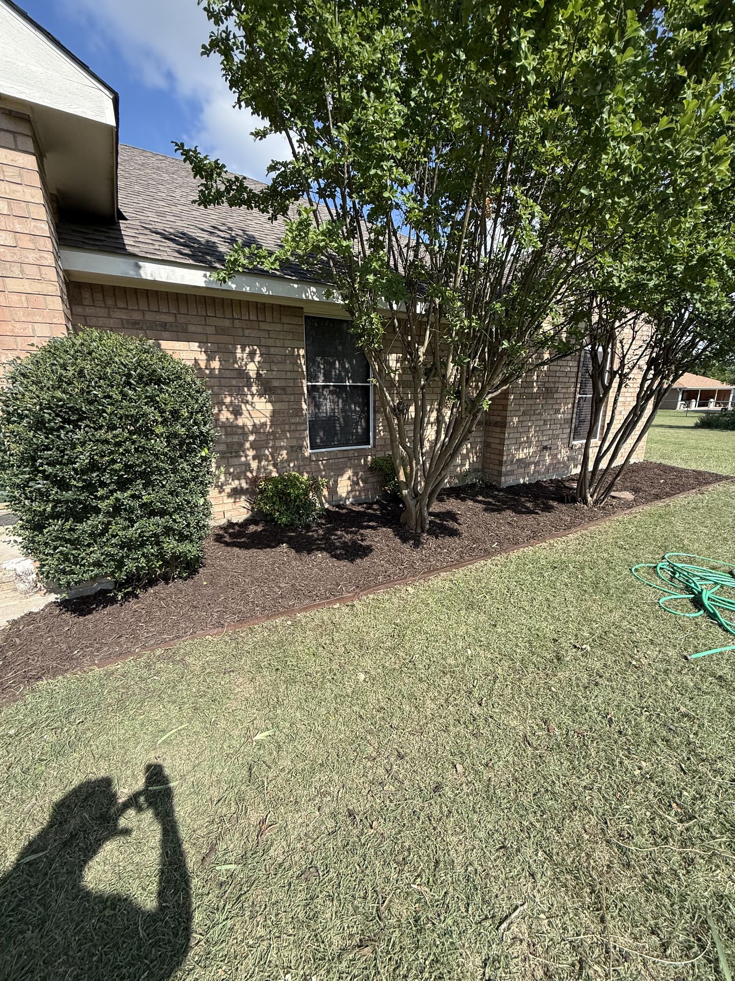 Side-yard bed cleaned up and topped with fresh mulch